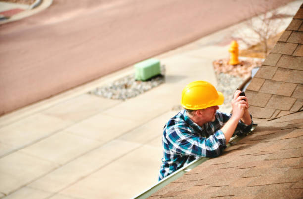 Best Roof Moss and Algae Removal  in Newport, RI